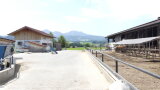 Biogasanlage, Bergblick und Offenfrontstall des Betriebes Helminger