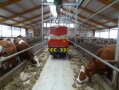 schienengeführter Fütterungsroboter. Die Futtervorlage am Beispielbetrieb erfolgt sechsmal täglich, kann aber auch je nach Betrieb und Produktionsschwerpunkt variieren.