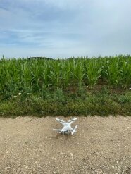 Alternativtext: Drohne auf dem Weg vor dem Maisfeld
