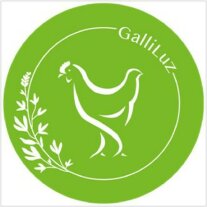 Logo: Stilisiertes Huhn