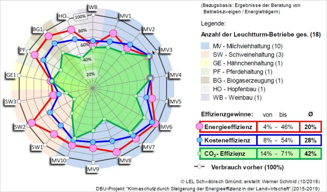 Effizienzgewinne der Leuchtturmbetriebe in Spinnennetzgrafik dargestellt