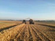 Landwirtschaftliche Maschine auf Feld