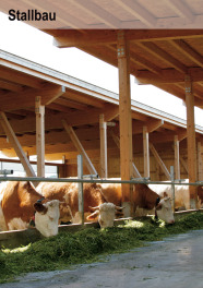 Braun-weiße Rinder fressen Gras an einem Futtertisch in einem modernen Stallgebäude