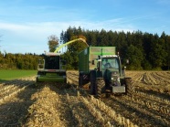 Zwei landwirtschaftliche Maschinen fahren nebeneinader über ein abgeerntetes Maisfeld mit einem Maisstroh-Schwad