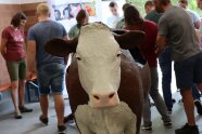 Geburtssimulator-Kuh Kathi steht in der Waschhalle.