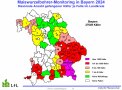 Maiswurzelbohrerfänge nach bayerischen Landkreisen