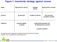 Insecticide strategy against viroses