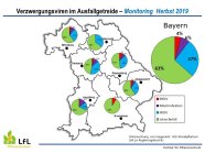 Bayernkarte mit Verzwergungsvirusinfektionen im Ausfallgetreide 2019 (Grafik: S. Weigand)