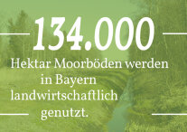 Grafik: 134.000 Hektar Moorböden werden in Bayern landwirtschaftlich genutzt. 