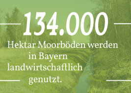 Grafik mit Text: 134.000 Hektar Moorböden werden in Bayern landwirtschaftlich genutzt.