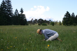 Ein Mann mit Sonnenhut kniet im Gras und wirkt sehr konzentriert.