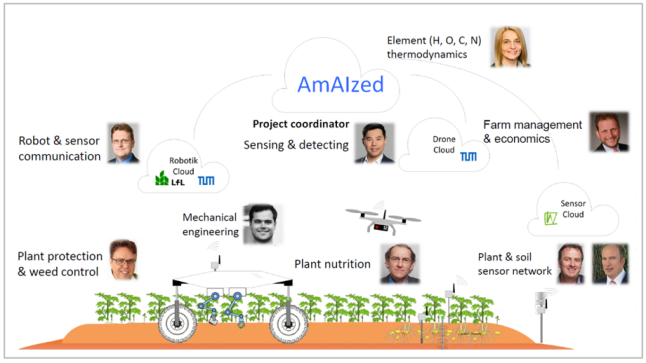 Darstellung der am AmAlzed-Projekt beteiligten Partner mit ihrern Aufgabengebieten