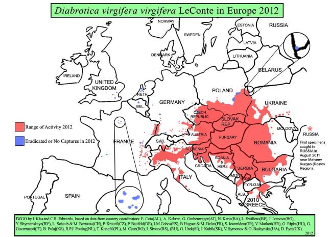 Verbreitungsgebiete des westlichen Maiswurzelbohrers in Europa