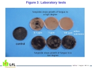 Figure 3: Laboratory tests