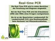 Real-time PCR, eine Methoden zum Nachweis von Schaderregern