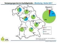 Überblick über das Auftreten von Verzwergungsviren in den sieben bayerischen Regierungsbezirken im Ausfallgetreide 2017