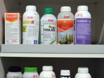 Teaser-bild Ps-merkblatt