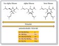 Reihenfolge der antimikrobiellen Aktivität der Hopfenbitterstoffe