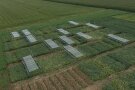 Luftbild von Parzellenfeld mit einzelen Plastikdächern