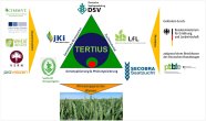 Buntes Schaubild mit den Institutionen und Partnern, die am Projekt TERTIUS beteiligt sind