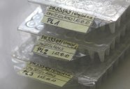 Drei gestapelte und beschriftete Mikrotiterplatten, die DNA-Proben von unterschiedlichen Gerstenlinien enthalten