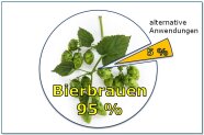 Alternative Anwendungen von Hopfen