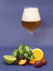 Bier im Glas mit Hopfendolden und Früchten auf einem Tisch
