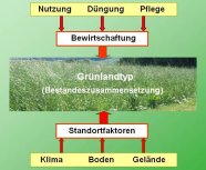 Grafik Einflussfaktoren Bestandeszusammensetzung Grünland