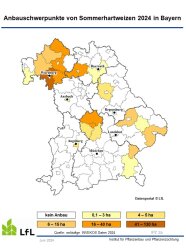 Karte von Bayern mit Anbauschwerpunkten von Sommerhartweizen 2024