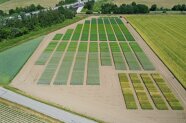 Getreideparzellen aus der Luft fotografiert