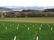 Mit weißen Etiketten gekennzeichnete Grünlandparzellen und Dorf und Bergen im Hintergrund