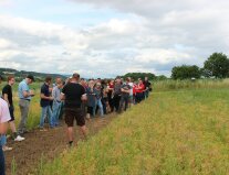 Menschengruppe auf dem Lupinenfeld