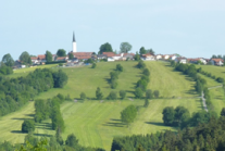 Wiesenlandschaft mit Hecken und Dorf im Hintergrund.