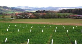 Mit weißen Etiketten gekennzeichnete Grünlandparzellen und Dorf und Bergen im Hintergrund