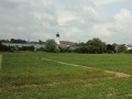 eingezäuntes Feld mit Lupinen vor Ruhstorfer Kirche