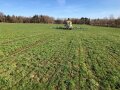 Schleppschuhtechnik beim Ausbringen von Gülle