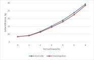 Liniendiagramm, aus dem der Verlauf der Lebendmasseentwicklung der Tiere beider Gruppen bis zum Versuchsende hervorgeht.