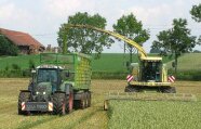 Häcksler und Traktor bei GPS-Ernte