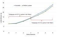 Liniendiagramm, das die Gewichtsentwicklung der Tiere beider Gruppen zeigt. Tiere der Kontrolle waren nach der 1. Versuchswoche schwerer.