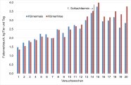 Säulendiagramm, das den Futterverbrauch der Mastschweine beider Gruppen für jede Woche zeigt. 