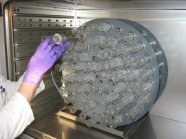 Laborhelfer schiebt Rörchen in den gefüllten ModHFT Inkubator