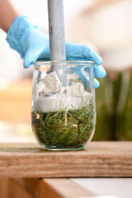 Ein Glas (Laborsilo) wird mit Gras befüllt und mithilfe eine Stopfers verdichtet.