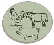 Grafische Darstellung von Rind, Schwein und Hahn in einem Oval