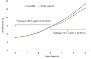 Liniendiagramm, das die Gewichtsentwicklung der Tiere beider Gruppen zeigt. Tiere der Kontrolle waren ab der 2. Versuchshälfte schwerer.