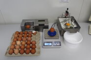 Eier und Messgeräte