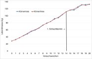 Liniendiagramm, das die Gewichtsentwicklung der Mastschweine beider Gruppen zeigt