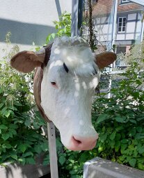 Nottötungsmodell
