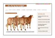 Screenshot der FleckScore-Internet-Homepage.