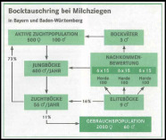 Abbildung: Bocktauschring bei Milchziegen in Bayern und Baden-Württemberg