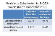Realisierte Sicherheiten im FrOGS-Projekt (Gertz, Dodenhoff, 2013)